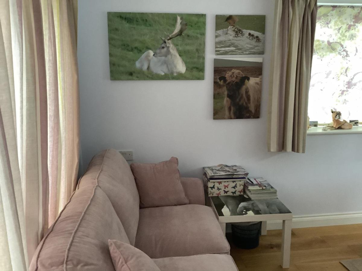 Exmoor Retreat On Two Moors Way Withypool Luaran gambar