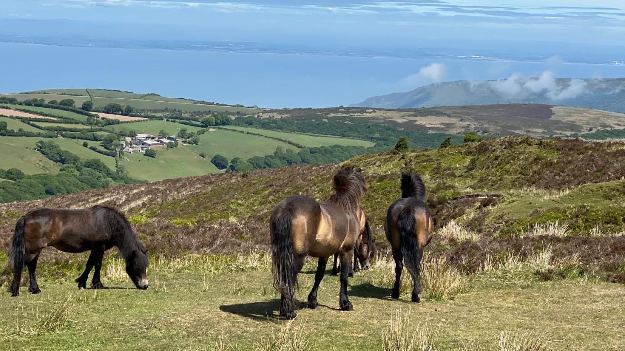 Exmoor Retreat On Two Moors Way Withypool Luaran gambar