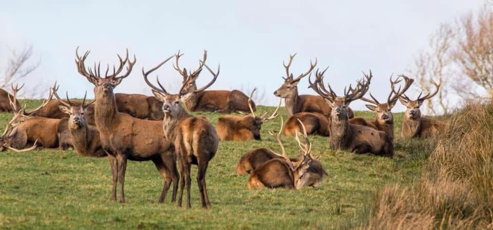 Exmoor Retreat On Two Moors Way Withypool Luaran gambar