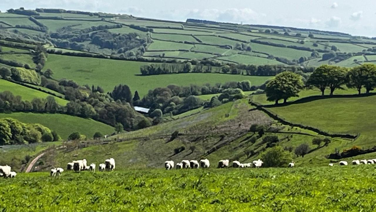 Exmoor Retreat On Two Moors Way Withypool Luaran gambar