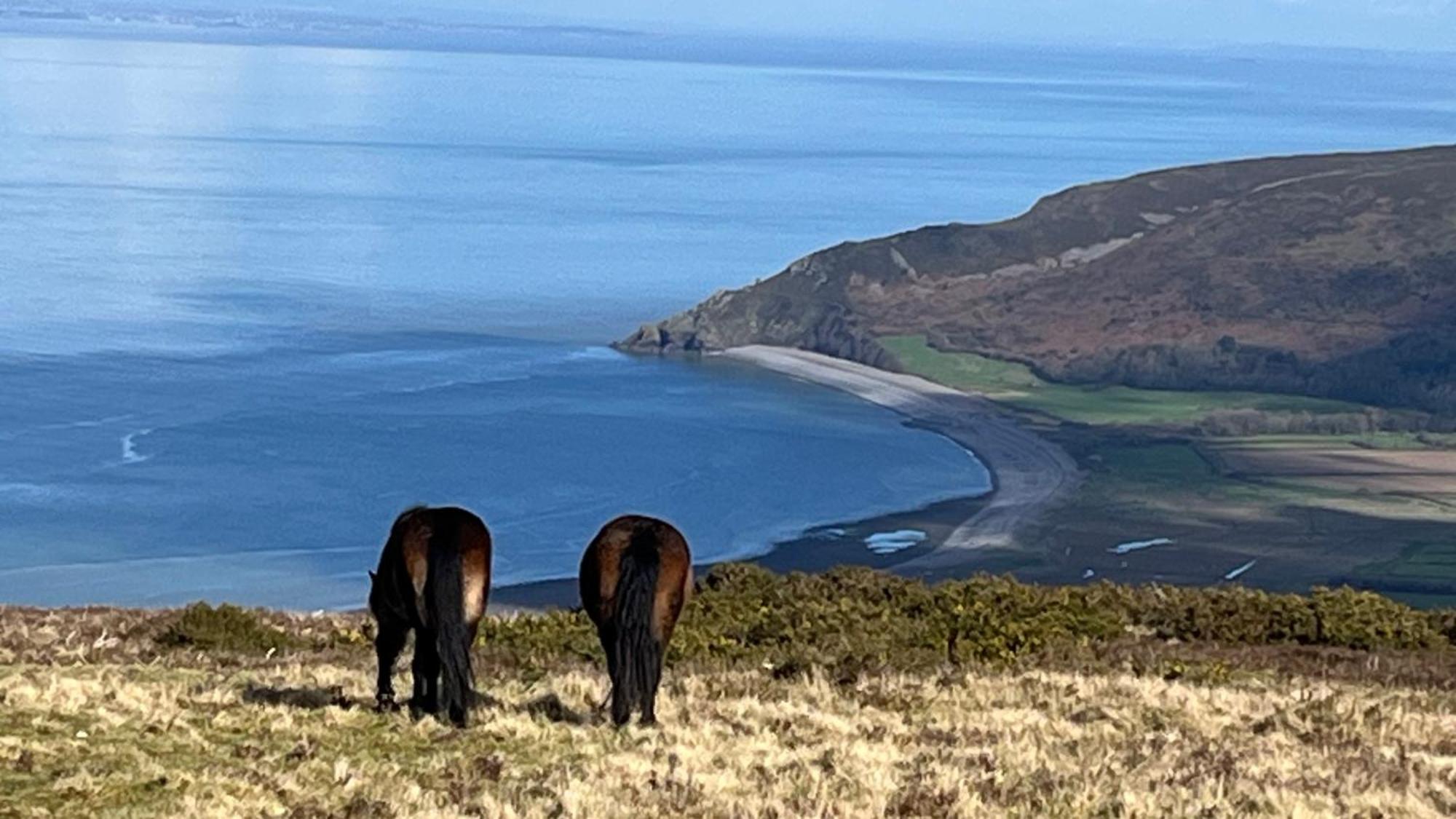 Exmoor Retreat On Two Moors Way Withypool Luaran gambar