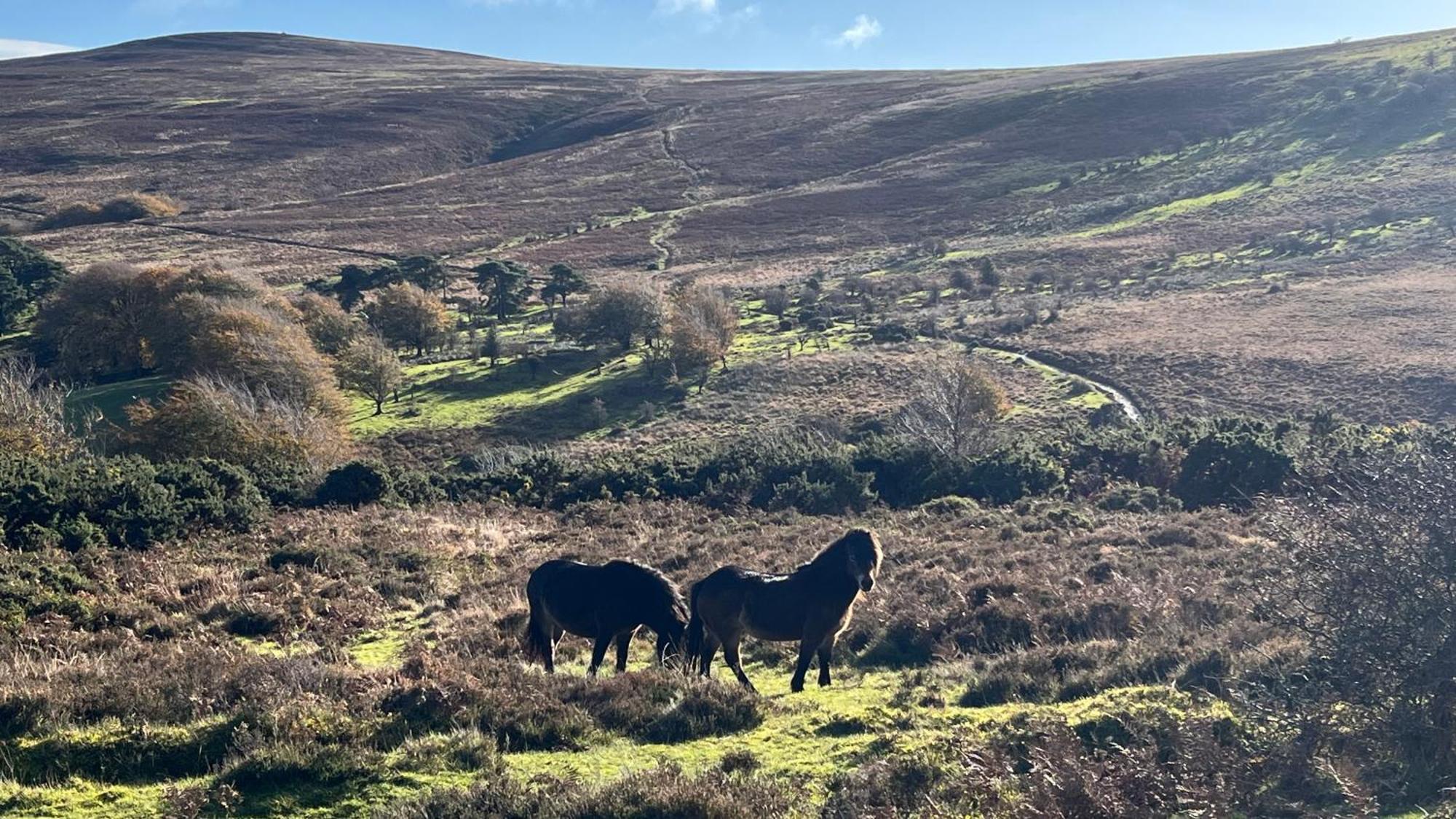 Exmoor Retreat On Two Moors Way Withypool Luaran gambar